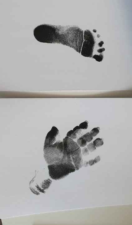 Obrazek #1 z Aurelia