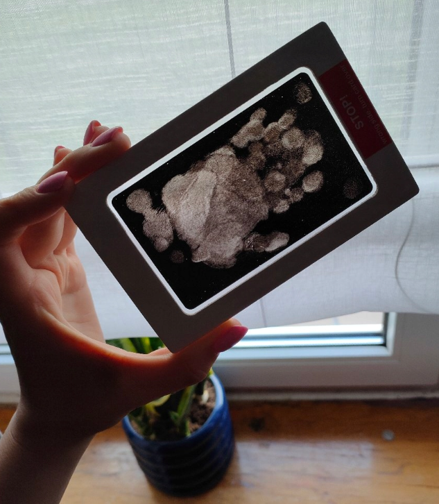 Obrazek #1 z Julianna